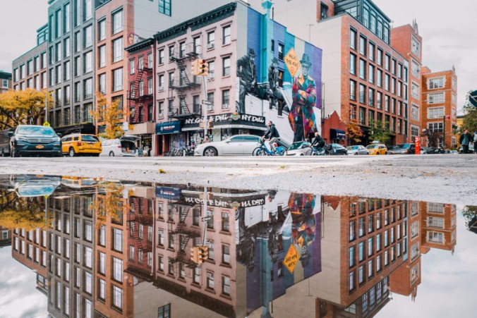 Kobra-in-NYC-LR-c-Silvie-Bonne-14